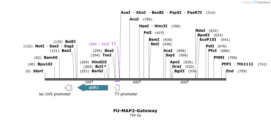 60891_map