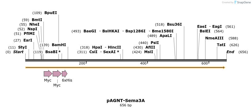 60892_map