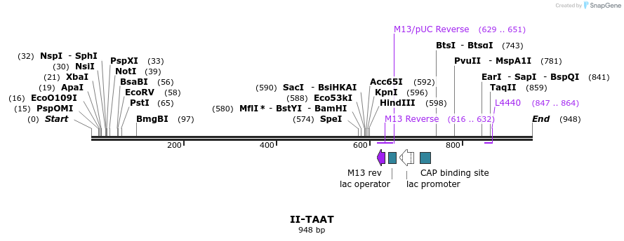 60899_map