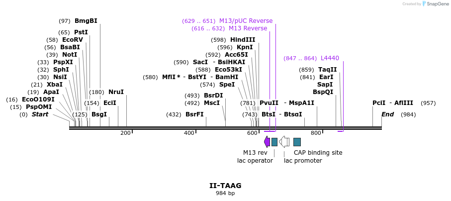 60900_map
