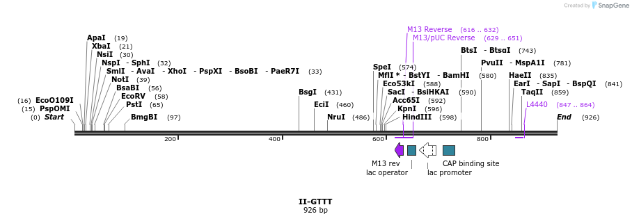 60903_map