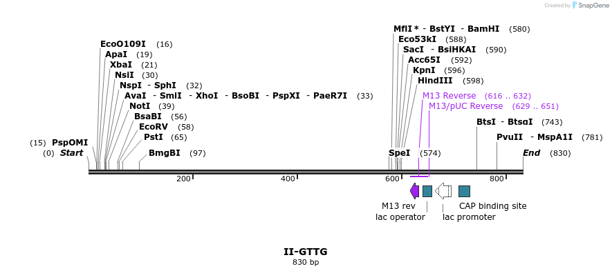 60904_map
