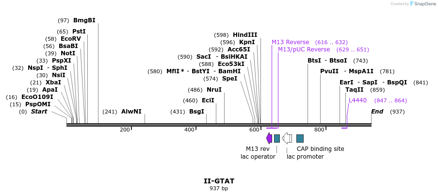 60915_map