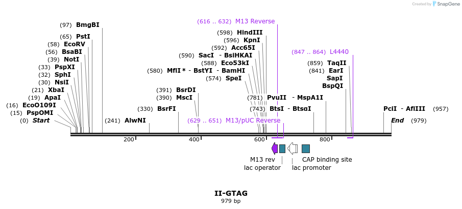 60916_map