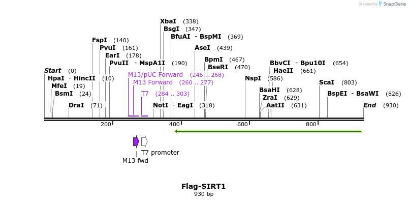 60920_map