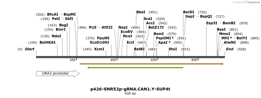 60923_map
