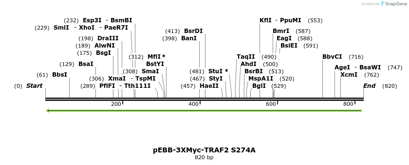 60925_map