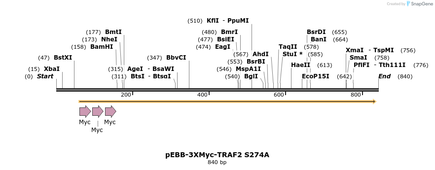 60927_map