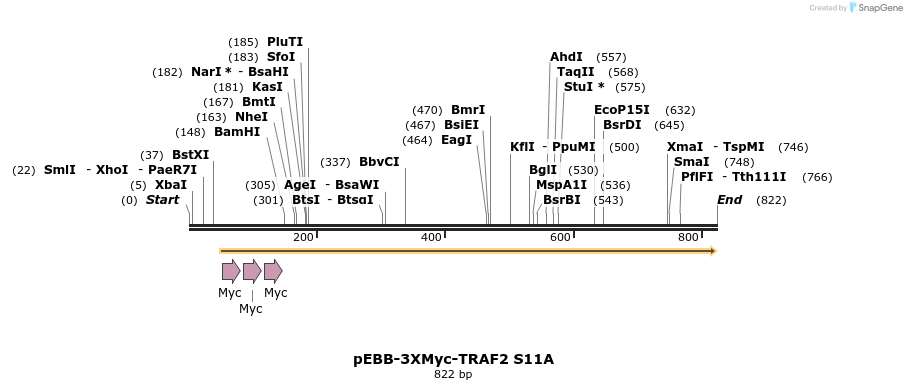 60928_map