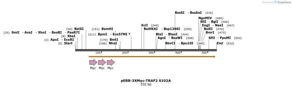 60935_map