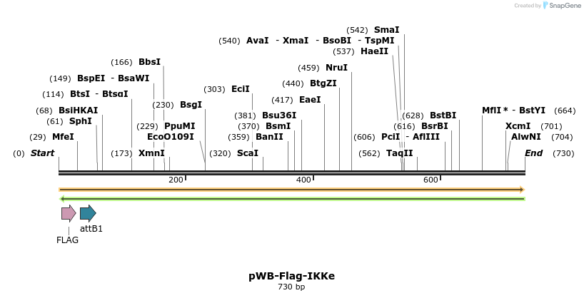 60939_map