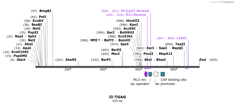 60942_map