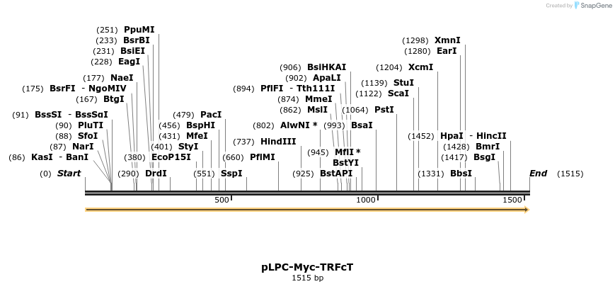 60950_map