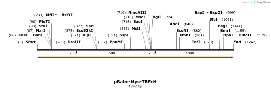 60951_map