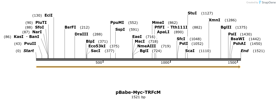 60952_map