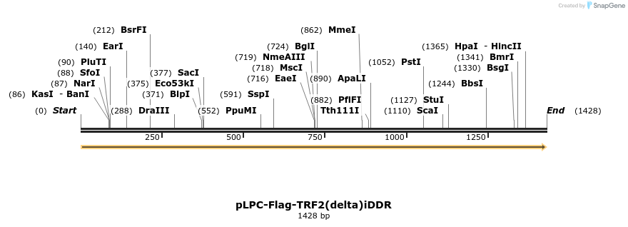 60956_map