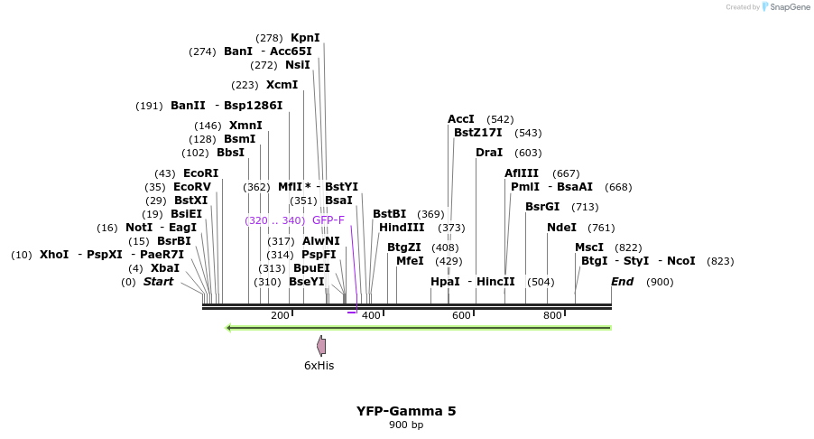 60962_map