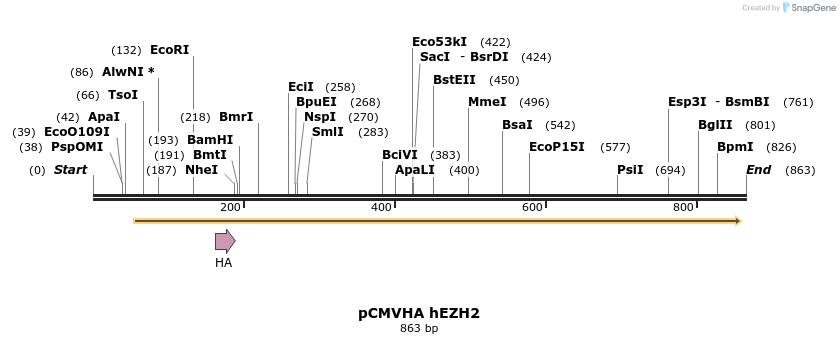 60964_map
