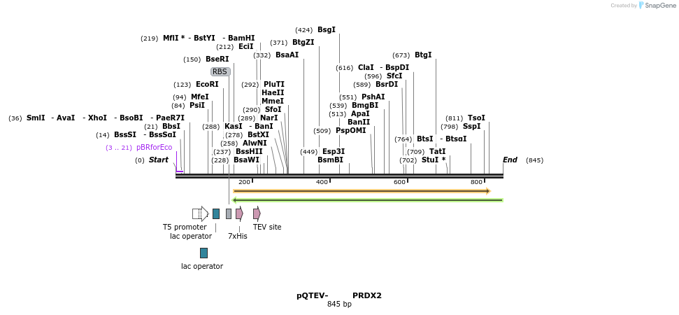 60966_map