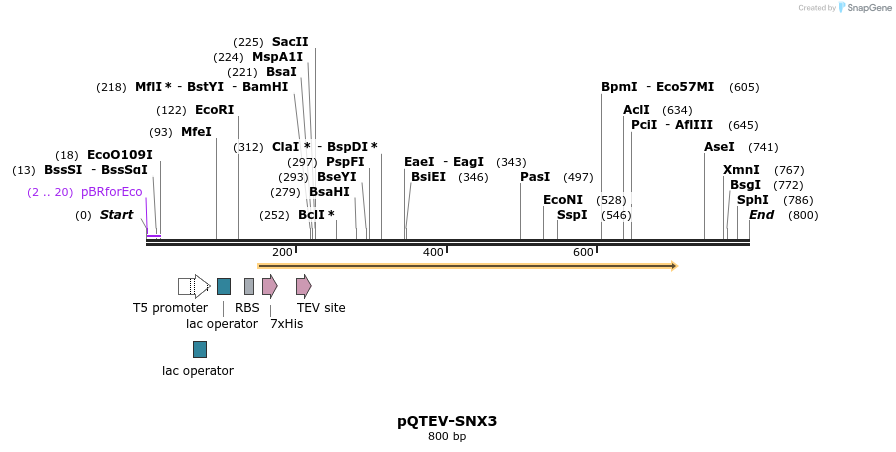 60968_map