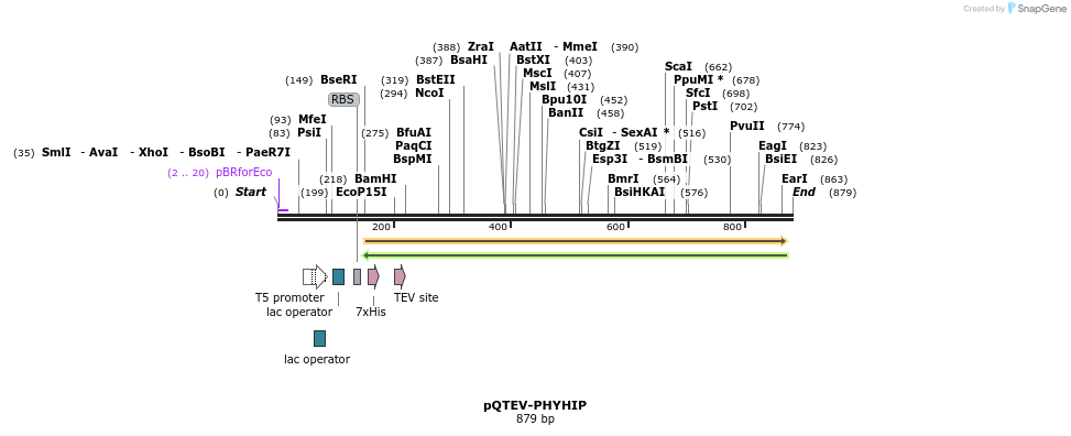 60971_map