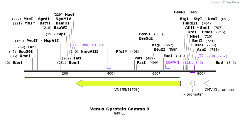 60972_map