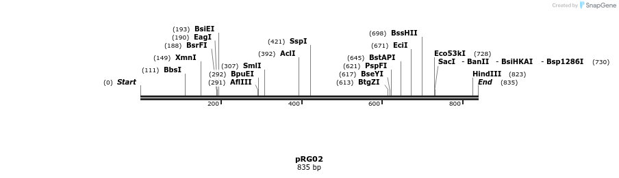 60973_map