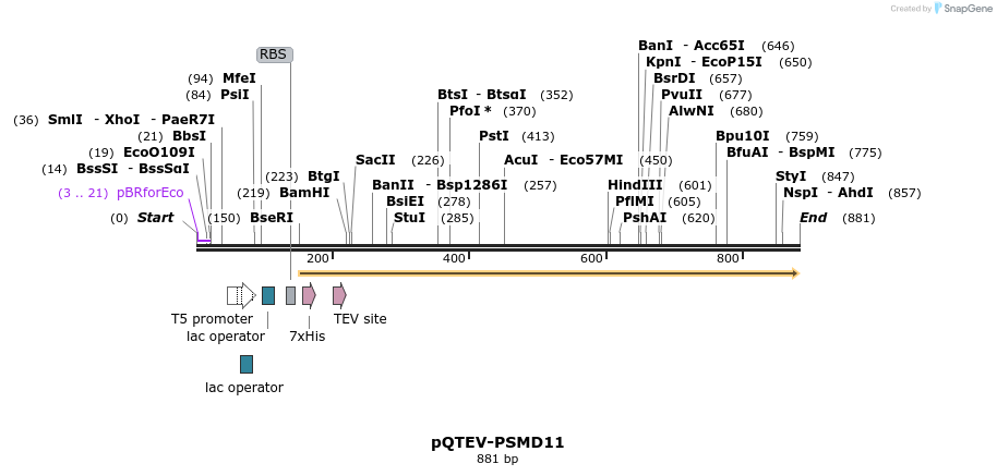 60977_map