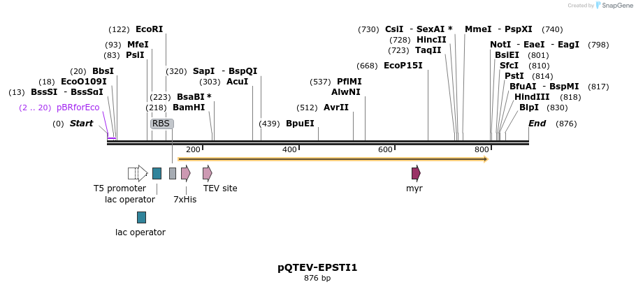 60980_map