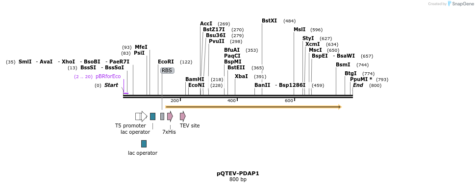 60982_map