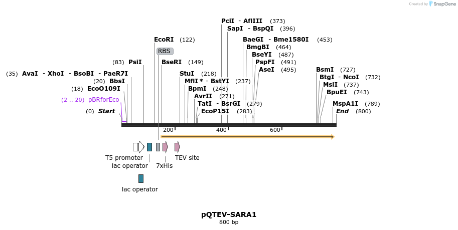 60986_map