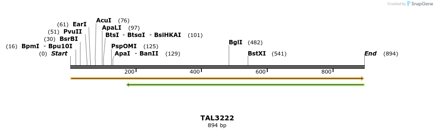 60988_map