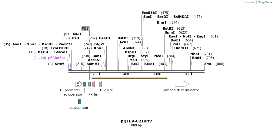 60991_map
