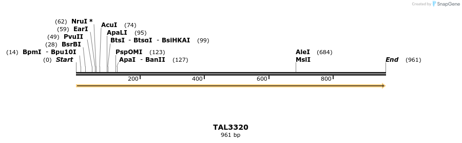 60994_map