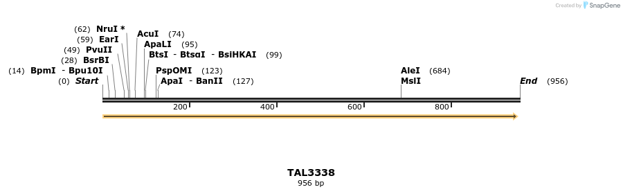 60996_map