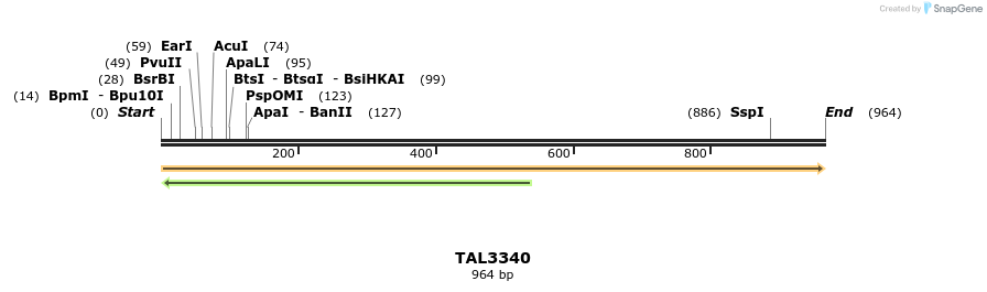 60998_map