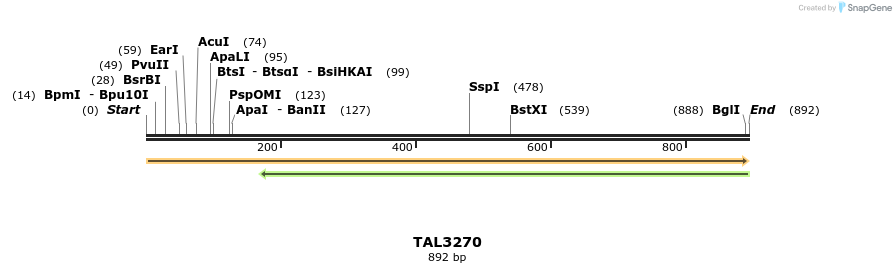 61000_map