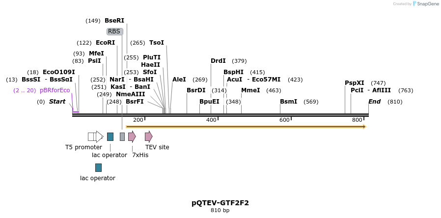 61003_map