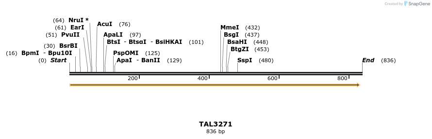 61005_map