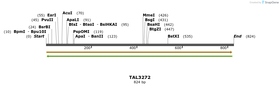 61006_map