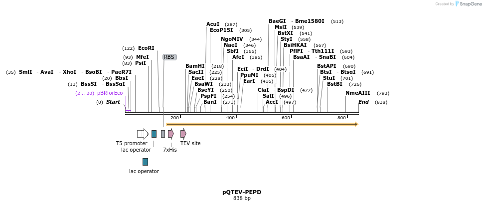 61007_map