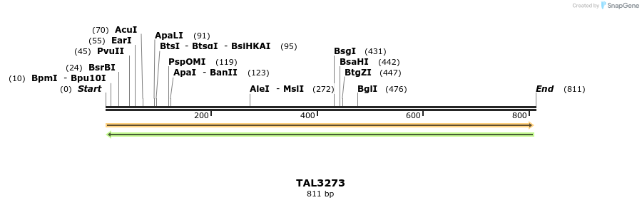 61008_map
