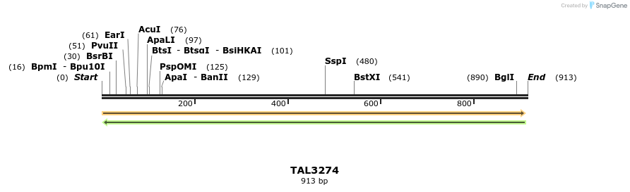 61009_map