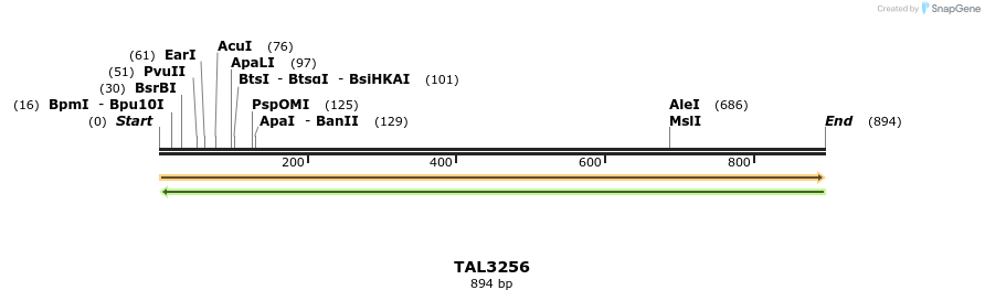 61010_map