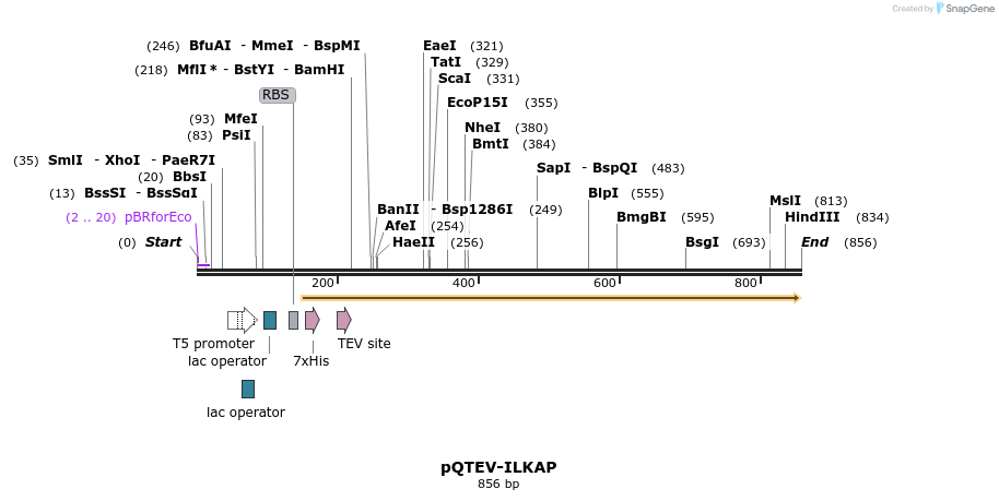 61011_map