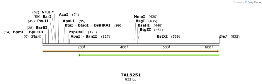 61013_map