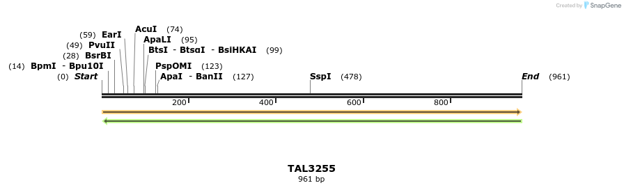61015_map