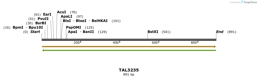 61020_map