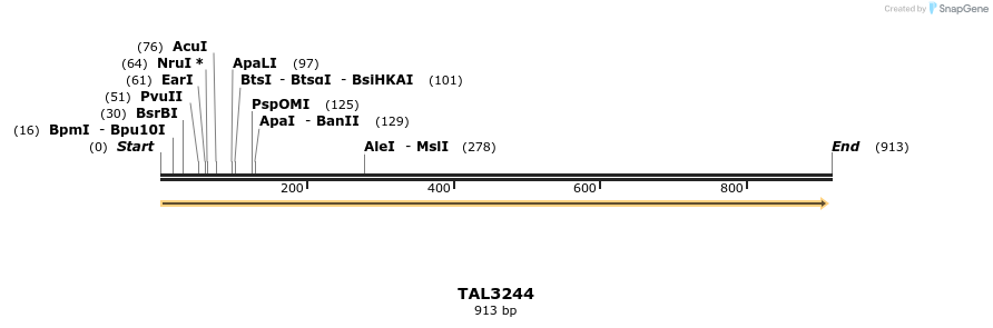 61023_map
