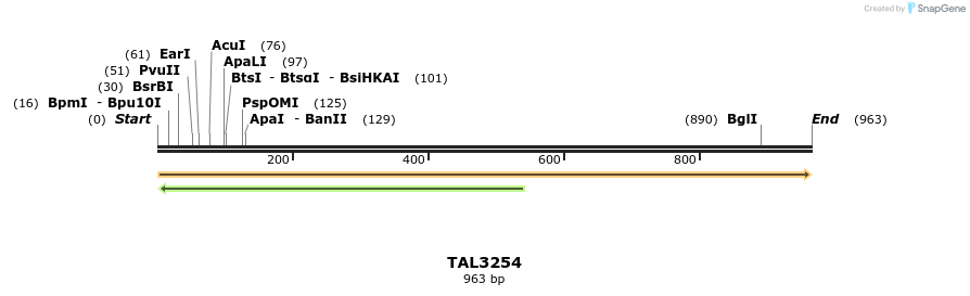 61025_map